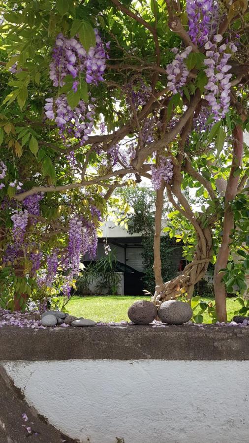 Вилла Casa Da Madalena Do Mar Экстерьер фото