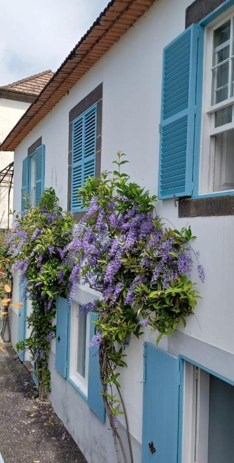 Вилла Casa Da Madalena Do Mar Экстерьер фото